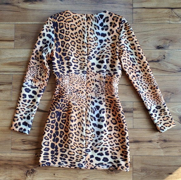 Clove Long Sleeve Mini Dress - Picture 4 of 5